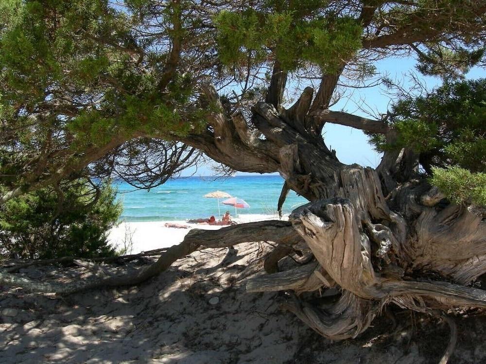 Residence Bouganvillage Budoni Εξωτερικό φωτογραφία
